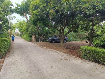 Lot For Sale In Kaybagal South, Tagaytay