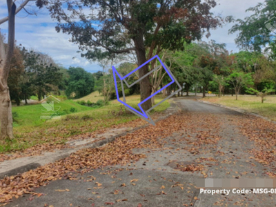 Lot For Sale In Pansol, Calamba