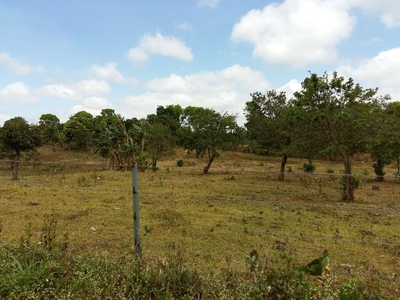 2.8 Hectares Lot for Sale in Mendez near Tagaytay Good for Property Development
