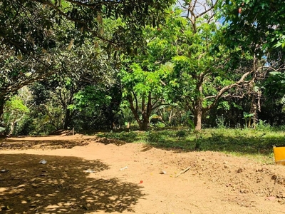 300sqm Fruit Bearing Farm Lot for sale in Indang Cavite