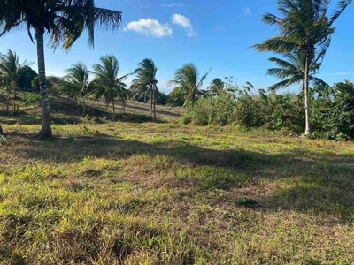 farm land, Residential lot, Open space, Vacation land