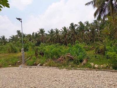 For Sale 1,025 sqm Affordable Titled Lot Property in Alfonso, Cavite
