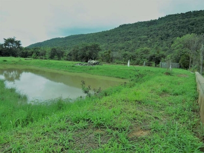 For Sale 96 Hectares Cabaruan Nagaparan Danglas Abra Nueva Ecija 50M Only