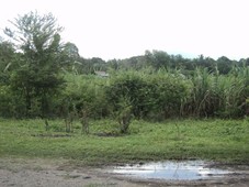Agricultural Land in Mindanao