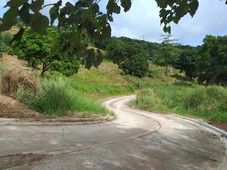 Very affordable lot for sale in Antipolo City - clean title