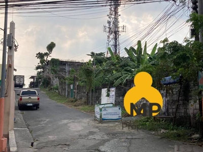 Lot For Sale In Bagumbong, Caloocan