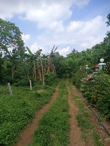Lot For Sale In Barangay Xii, Amadeo