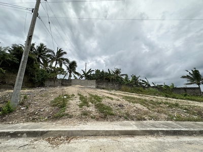 Lot For Sale In Bulacao, Talisay
