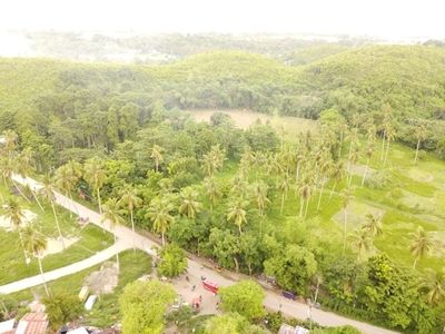 Lot For Sale In Buluang, Compostela