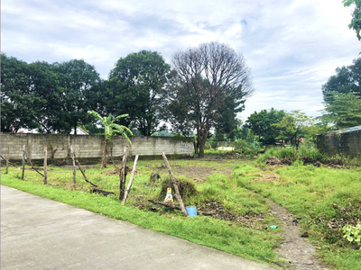 Lot For Sale In Mining, Angeles