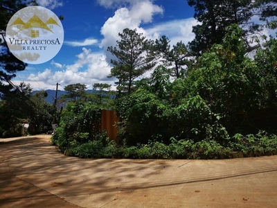Lot For Sale In Outlook Drive, Baguio