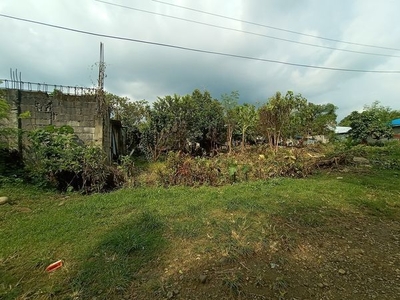 Lot For Sale In San Pablo, Ormoc