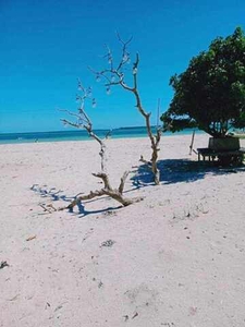Lot For Sale In Sillon, Bantayan