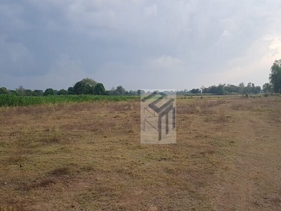 Lot For Sale In Tayug, Pangasinan