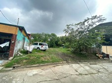 Residential Lot For Sale BF Mariposa, Las Pinas City
