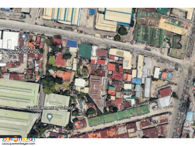 2919 SQM Commercial Industrial Residential Lot in Mandaue City