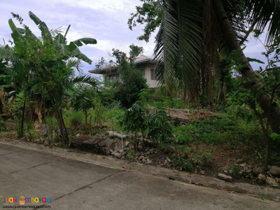 542SQM Residential Lot for SALE in Fairview Subd. near One Oasis