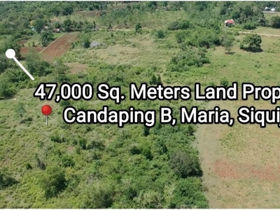 47,000 Square Meters Land for sale in Siquijor
