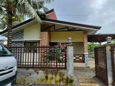 House For Sale In Dinahican, Infanta
