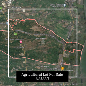Lot For Sale In Abucay, Bataan