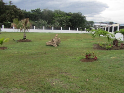Lot For Sale In Cansojong, Talisay
