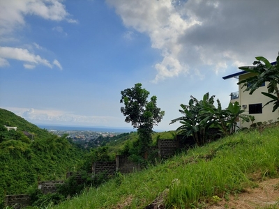 Lot For Sale In Lagtang, Talisay