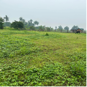 Lot For Sale In Magahis, Tuy