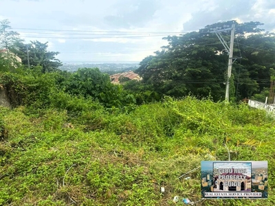 Lot For Sale In Maghaway, Talisay