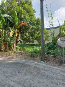 Lot For Sale In Marcelo Green Village, Paranaque