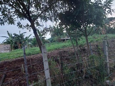 Lot For Sale In San Guillermo, Morong