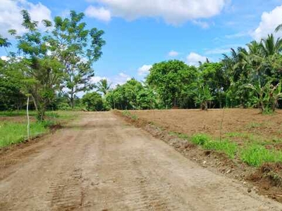 Lot For Sale In Sinaliw Malaki, Alfonso