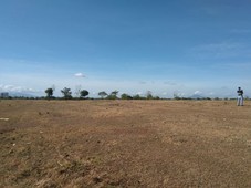 Raw Land Industrial lot in Laurel Tanauan Batangas