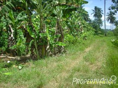 631 Sqm Residential Land/lot Sale In Bayugan City