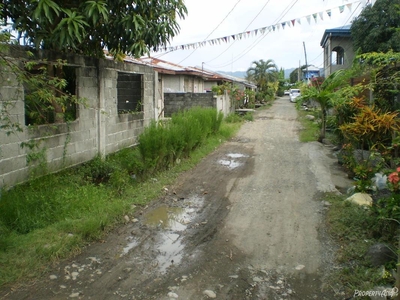 99 Sqm House And Lot Sale In Butuan City