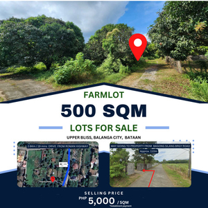Lot For Sale In Bagong Silang, Balanga