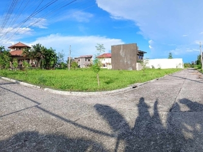 Lot For Sale In Bolinawan, Carcar