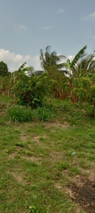 Lot For Sale In Kayquit I, Indang