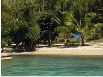 Lot For Sale In Luac, Culion