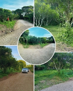 Lot For Sale In San Francisco, Tiaong