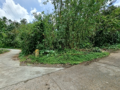 Lot For Sale In Tiawe, Lucban