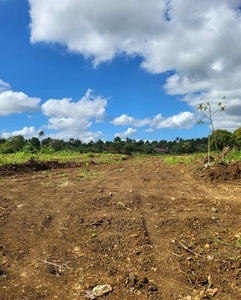 Php 3,500/sqm Farm Lot for Sale in Indang, Cavite