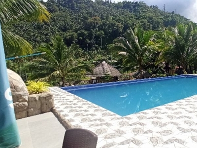 Mountain Resort For Sale in Malaunay, Valencia, Negros Oriental