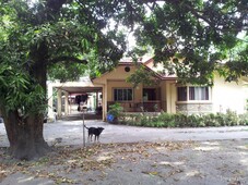 3-BR house and lot (2800 sqm. ) Castillejos, Zambales. NEGOTIABLE