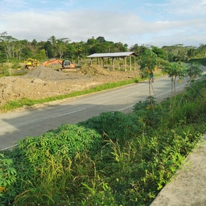 Excellent Plot Of Land For Sale In Hawilian Agusan Del Sur