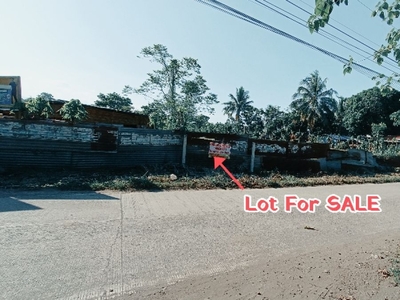 Residential / Commercial Lot in Tambakan, Brgy. Lizada , Toril Davao City