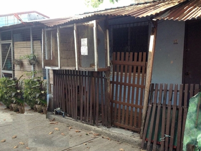 Farm Lot (Palayan) for sale in Morong, Rizal near Metro Manila