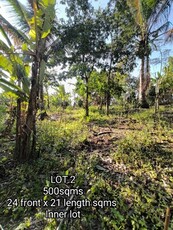 Lot For Sale In Barangay V, Amadeo