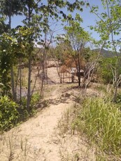 Lot For Sale In Decabobo, Coron