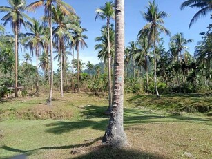 Lot For Sale In Magara, Roxas