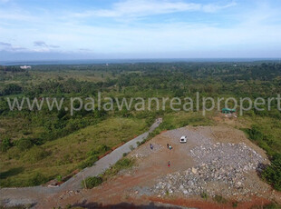 Lot For Sale In Tagburos, Puerto Princesa